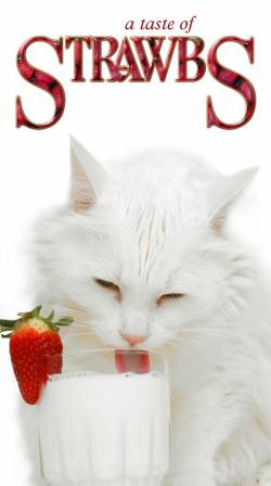 Strawbs : A Taste of Strawbs